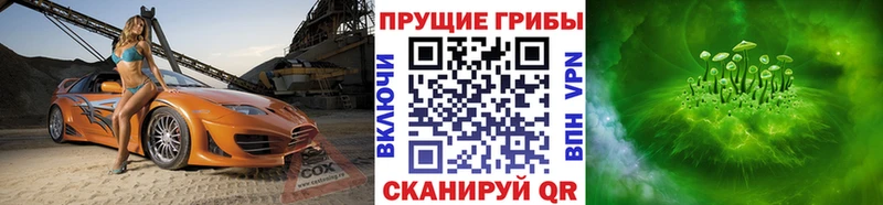 Галлюциногенные грибы GOLDEN TEACHER  Стародуб 