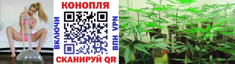 Бошки марихуана THC 21%  наркотики  кракен вход  Стародуб 